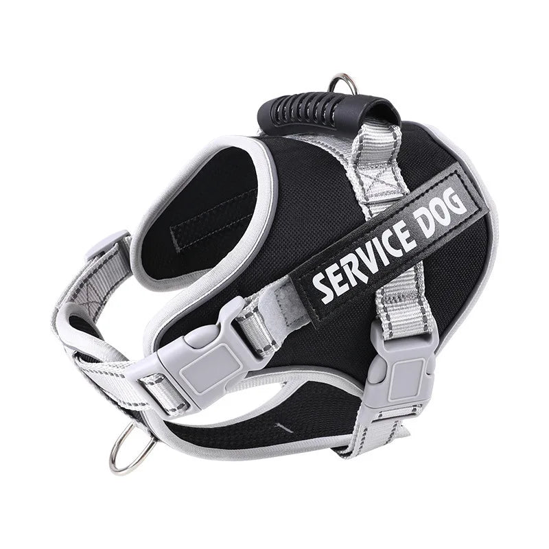 OEM/ODM Fashionable Nylon Pet Accessories Adjustable Large Dog Harness Leash Set Vest Lead Walking Rope with Comfortable Harness