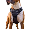QUCHONPET Hot Sale Training Harness Reflective Tough Adjustable Pet Dog Har Accessories Custom Leash No Pull Dog Harness Set