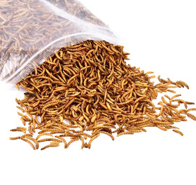 High Protein Dry Food Treats with Meat and Dried Mealworms for Bird Treats