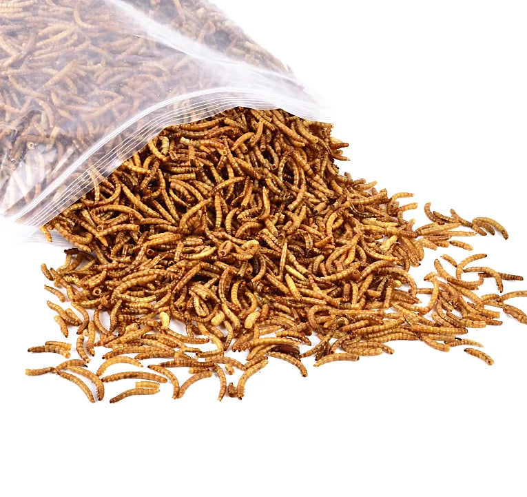 High Protein Dry Food Treats with Meat and Dried Mealworms for Bird Treats MegaBDM