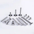 Stainless Steel Metric Recessed Hex Head Screw with Oval Option