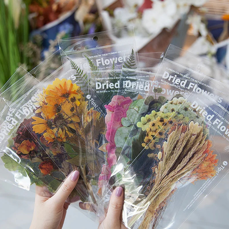 PET Big Size 6Pcs Flower Plant Transparent Stickers for Kid Scrapbook Vintage DIY Label Dry Flowers Sticker MegaBDM