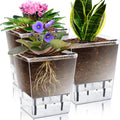 Bonsai Succulent Flower Planter Indoor Garden Plastic Clear Pots for Plant Transparent Self Watering Plant Pot