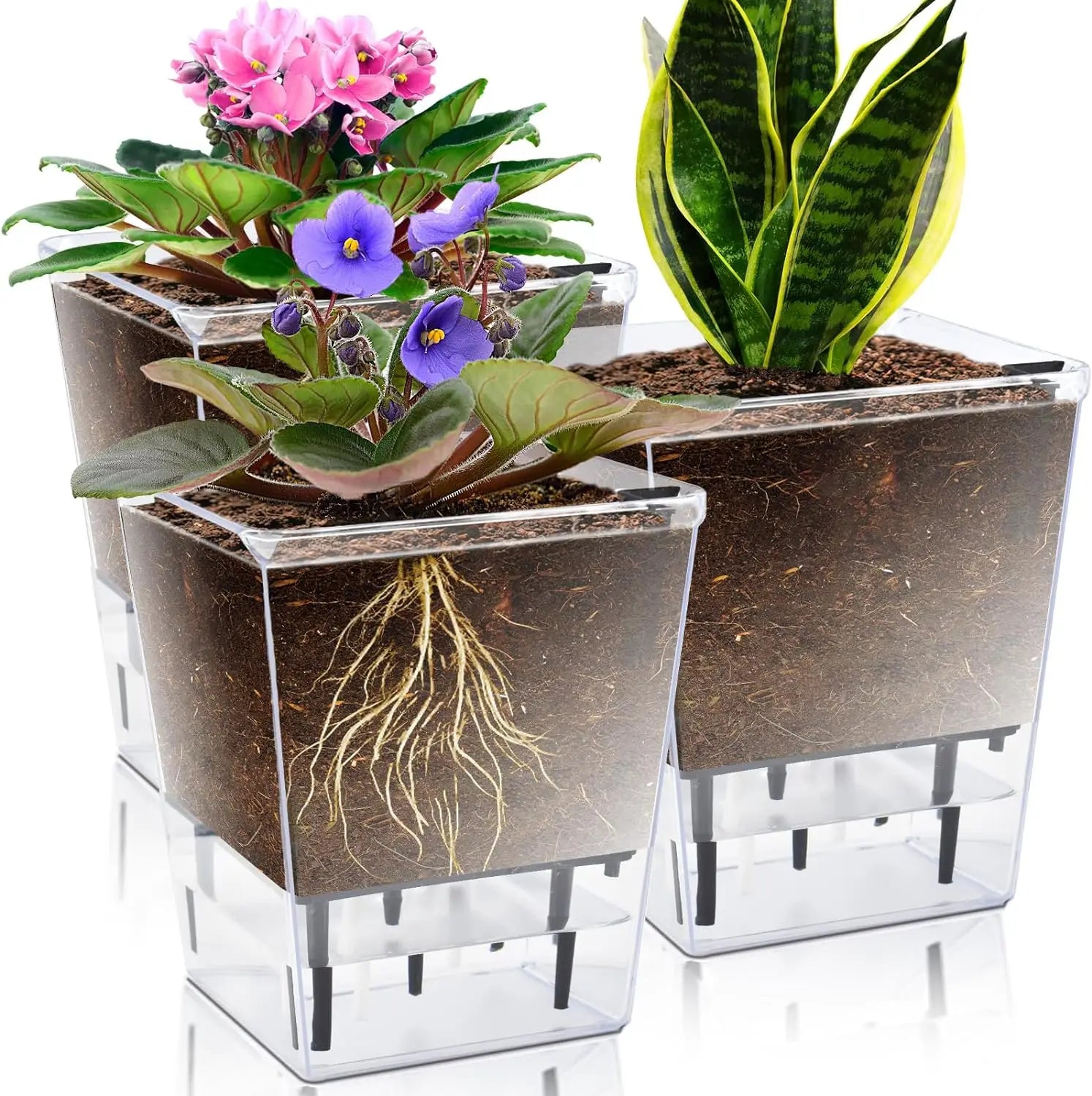 Bonsai Succulent Flower Planter Indoor Garden Plastic Clear Pots for Plant Transparent Self Watering Plant Pot