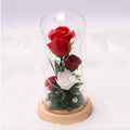 Supplier Immortal Rose LED Lamp Glass Cover Cloth Material Valentine's Day Gift