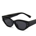 2024 New Fashion Sunglasses Newest Women High Quality Retro Plastic Shades Small Women Cat Eye Sunglasses
