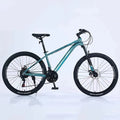 Carbon Steel Mountain Bike 11 Speed 24/26/27.5/29in Axle Disc Brake Suspension Fork Complete Bicycle 24/26/27.5/29in Bike