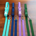 Latest Design Multifunctional Hand-Free Dog Lead Rope Soft Waterproof PVC Coated Webbing Multicolor Multicolor Rivet Decoration