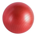 TOPKO 65CM Anti Burst Matte Surface Fitness Gym Yoga Ball with air Pump