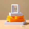 Abs and Pe Film Membrane Jewelry Packaging Box Clear Jewelry Box for Necklace Rings