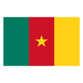 Ready to Ship Fast Shipping 100% Polyester Flags 3x5ft Cameroon All Country Flag