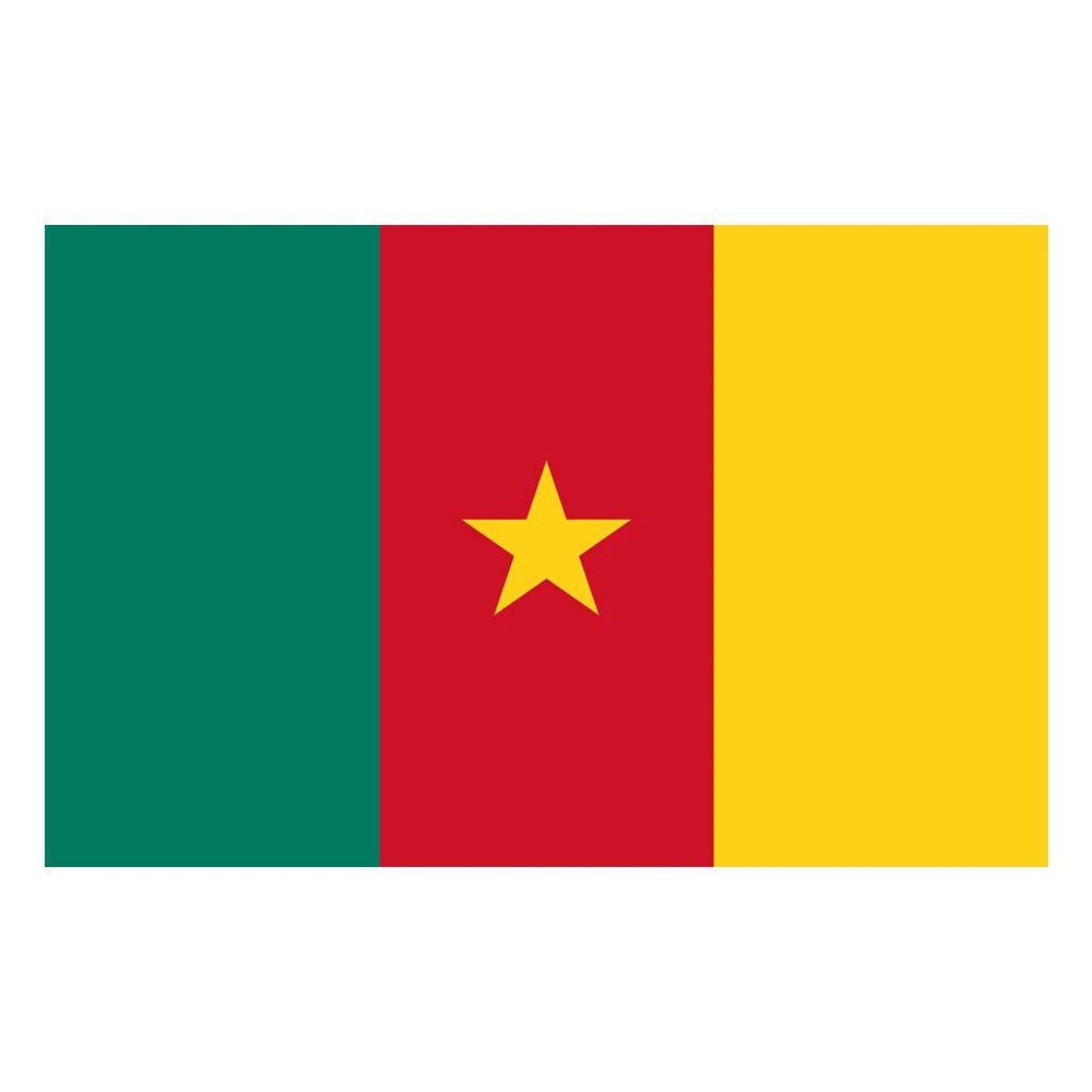 Ready to Ship Fast Shipping 100% Polyester Flags 3x5ft Cameroon All Country Flag