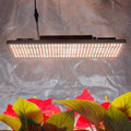 Wholesale Dimmable Full Spectrum UV IR Grow Light Indoor Plants Panel LM282B 320w Led Grow Light