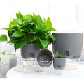 Plastic Flower Garden Planters Self Water for Indoor Plants Self Watering Plant Pot with Wick Cotton Rope