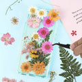 Real Dried Flowers 100% Natural Dry Flowers Herbs for Epoxy Resin Soap Making Candle Making DIY Art Crafts