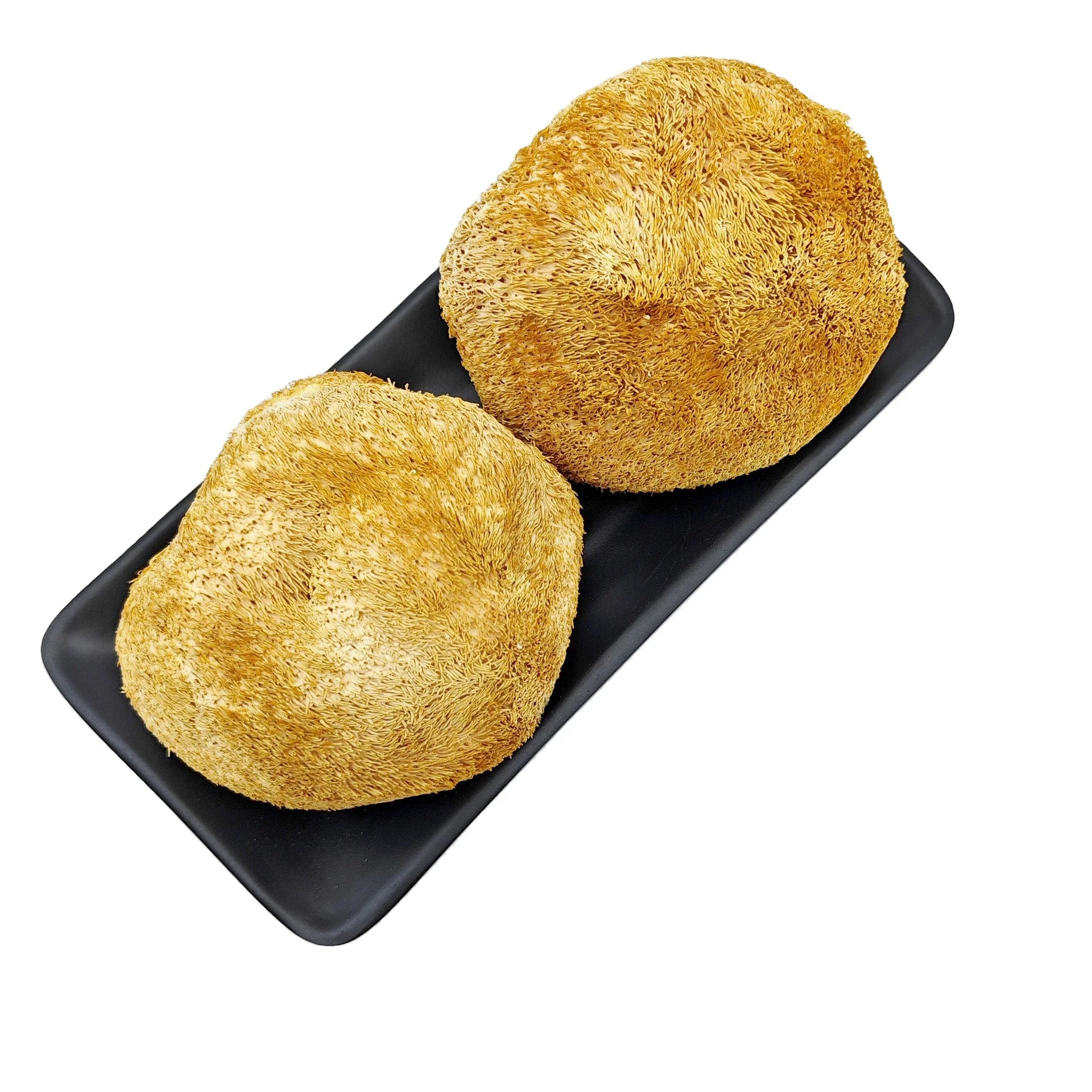 Best Selling Item Raw Dried Hericium Erinaceum Mushroom for Sale