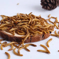 Dried Mealworm
