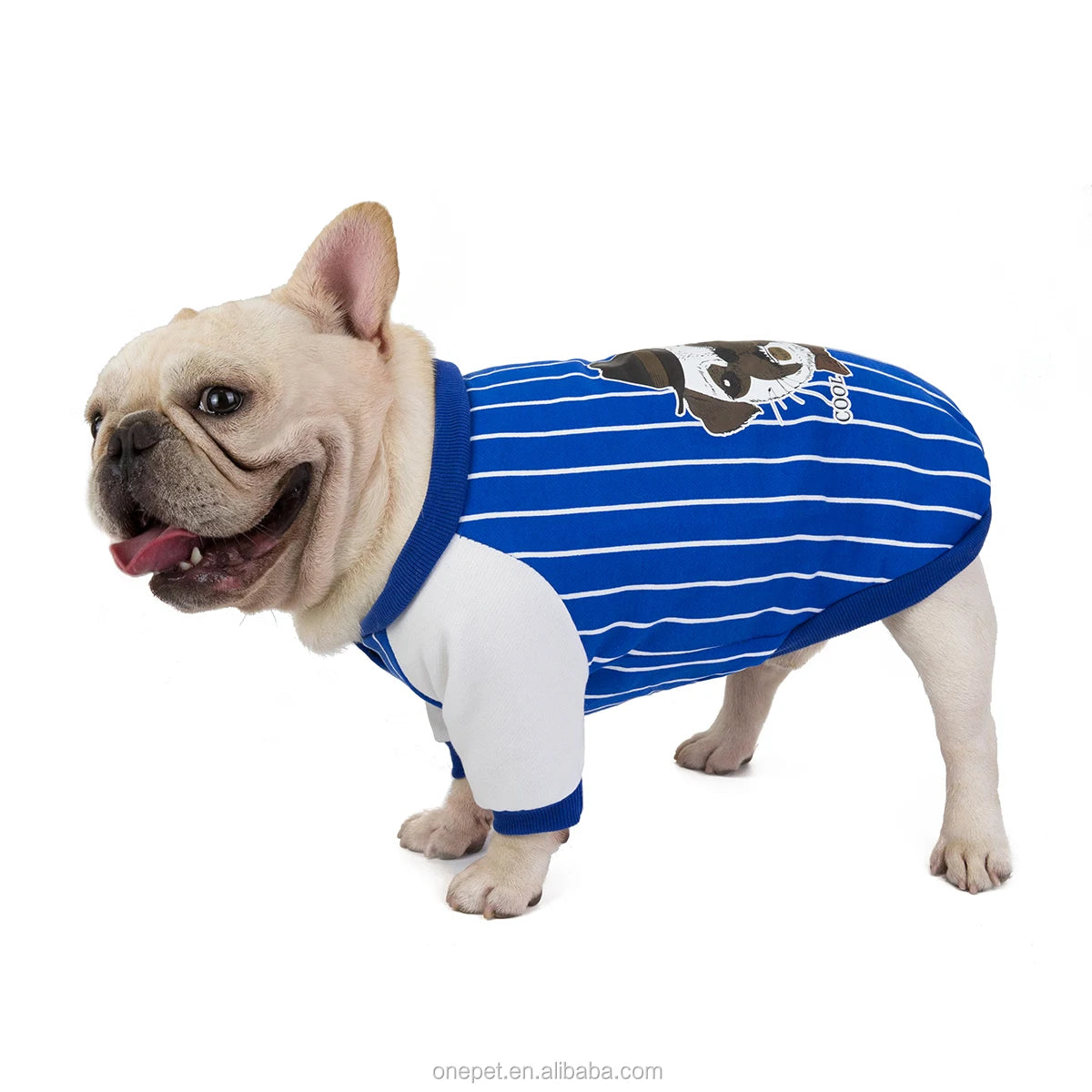 Fashion Design French Bulldog Sport Pet Dog Sweatshirt Print Pattern Polyester Clothing for Spring Season