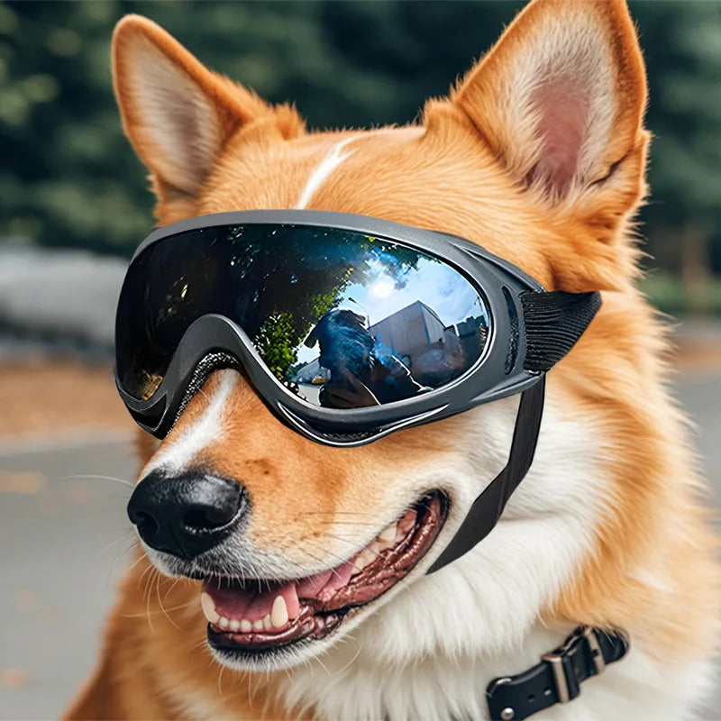UV Resistant Dog Glasses Adjustable Cool Pet Goggles for Medium or Large Dogs Windproof Sunglasses Made of Plastic