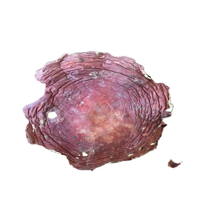 Bulk Supply China Wild Raw Whole Dried Russula Sanguinaria Mushrooms