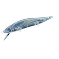 Best Selling in ALi Japan Classical 135mm 20g Big Original Blanks minnow unpainted floating lure