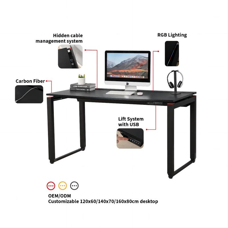Ada Electric Height Adjustable Gaming Desk Single Motor Electric Sit to Stand Gaming Desk for Esports With 1600x800mm Desktop