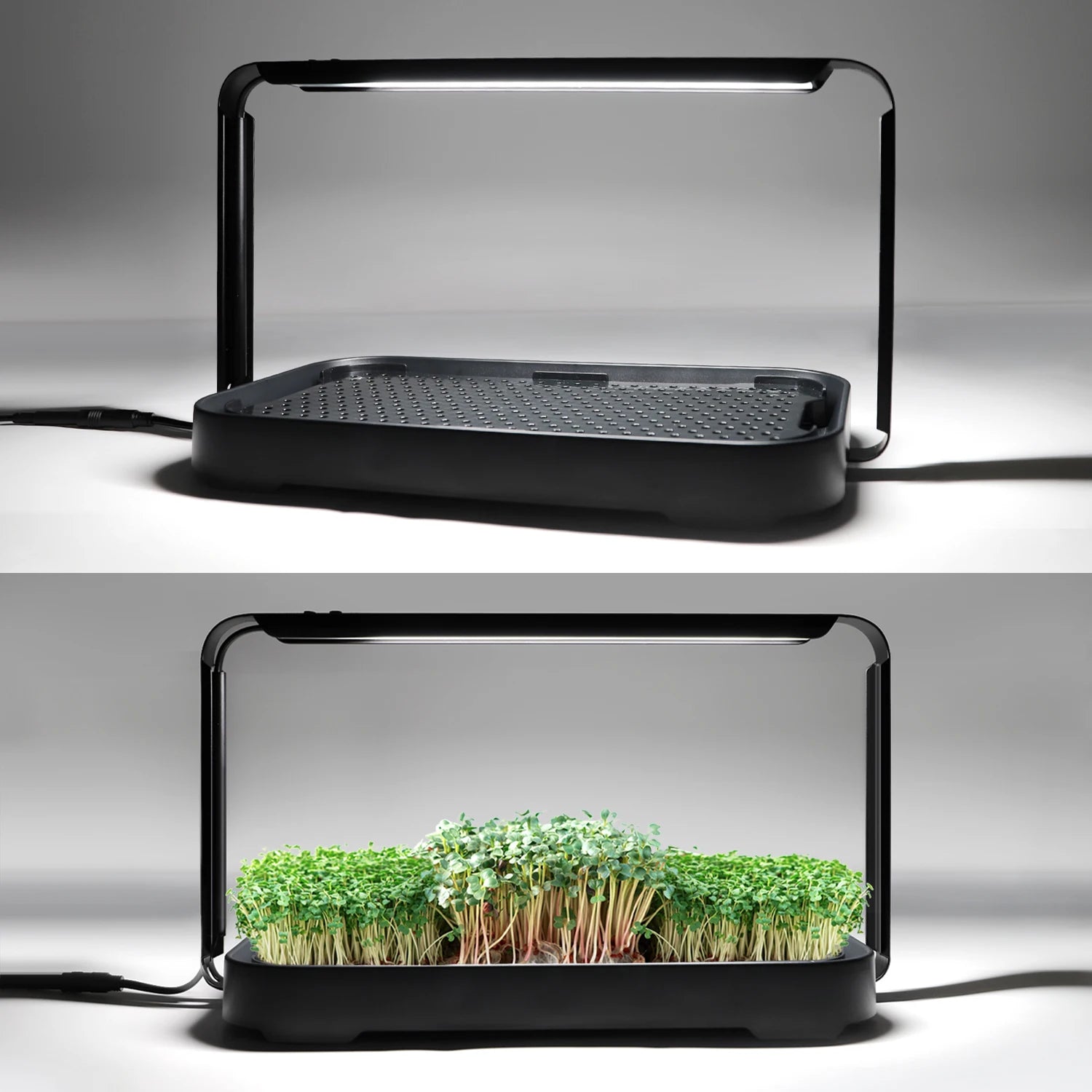 Houseplants Kitchen Seedling Starer Indoor Growing  Plant Smart Garden Grow Kit with Full Spectrum Lights