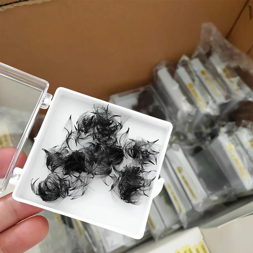 Abonnie 500 1000 0.05 Loose Fans Lash Trays Narrow Pro Made Fan Eyelash Extensions Pointy Base Mink Promade Lash Extension Fans