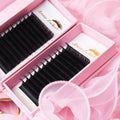 Individual Lashes 0.12 0.15 0.18 0.20mm Classic Cashmere Dark Black Lash Trays Soft Eye Lashes Extension