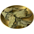Long Li Ye Bulk New Sauropus Spatulifolius Leaf Pure Dried Raw Sauropus Spatulifolius Leaves for Herb