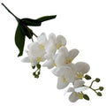 Real Touch 2 Forks 9 Heads Orchids Artificial Flowers Orchid With Leaves for Pot Decoration