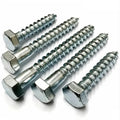 China Quality DIN571 Carbon Steel Q195 M6M8M10M12M14M16 Coach Screw Hexagon Head Wood Screws Lag Bolt with Bright Zinc Plated