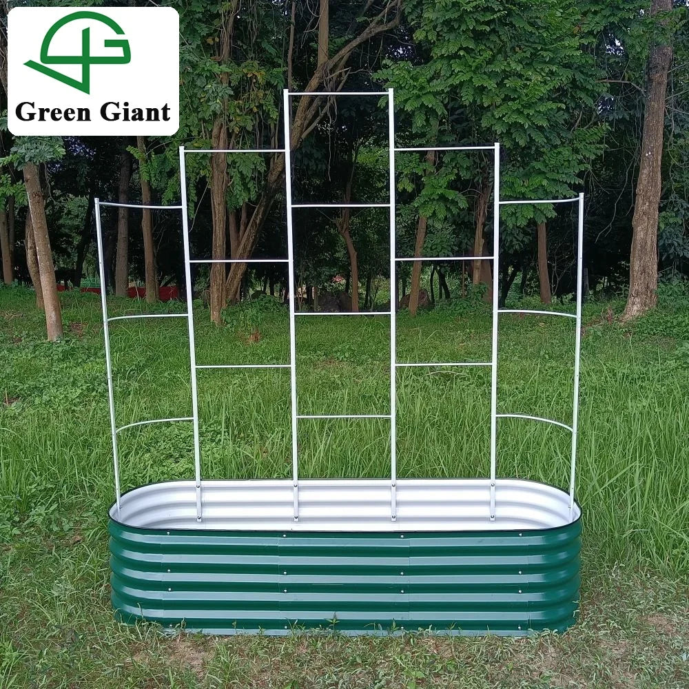 Huizhou Green Giant H3(6N1-17) Plants Climb Pergolas  Garden Raised Bed