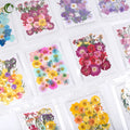 Hot Selling Dried Flowers Resin Jewelry Dry Flowers Plants Dried Pressed Flowers Natural for Resin Candle Material