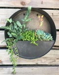 Galvanized Steel Half-Moon Vertical Wall Planters-Durable & Eco-Friendly Multi-functional for Home & Garden Use