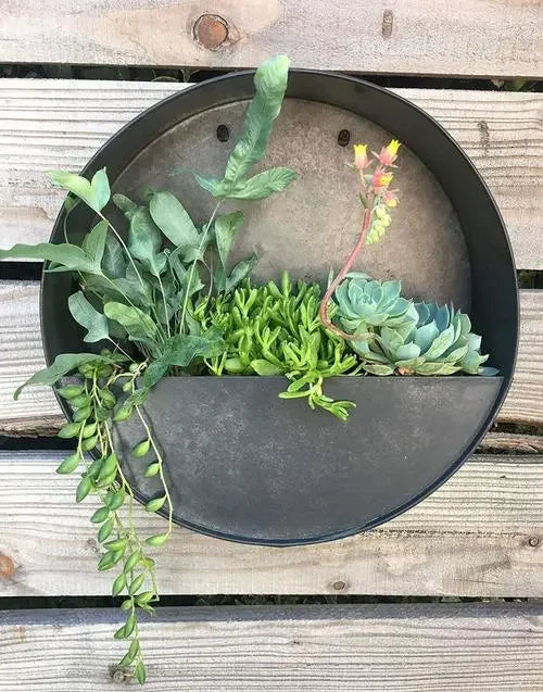 Galvanized Steel Half-Moon Vertical Wall Planters-Durable & Eco-Friendly Multi-functional for Home & Garden Use