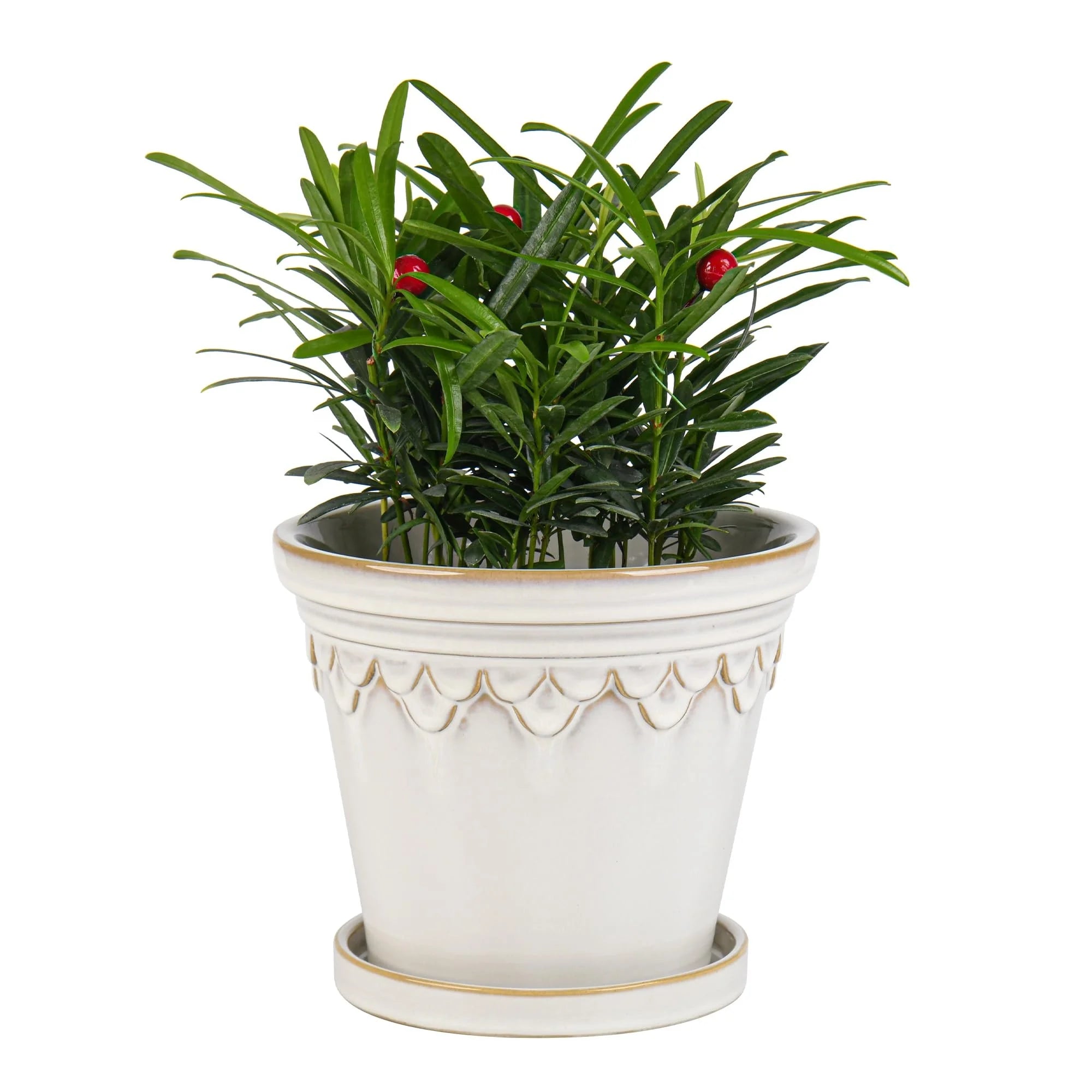 Antique Brown Edge White Kiln Glaze Ceramic Flower Pot with Tray Drainage Hole Planter for Garden Home Decoration
