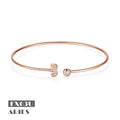 FX03 Aries Sign Abiding Jewelry Factory Price 925 Sterling Silver Moissanite Diamond Gold Plated Adjustable 12 Zodiac Bangle