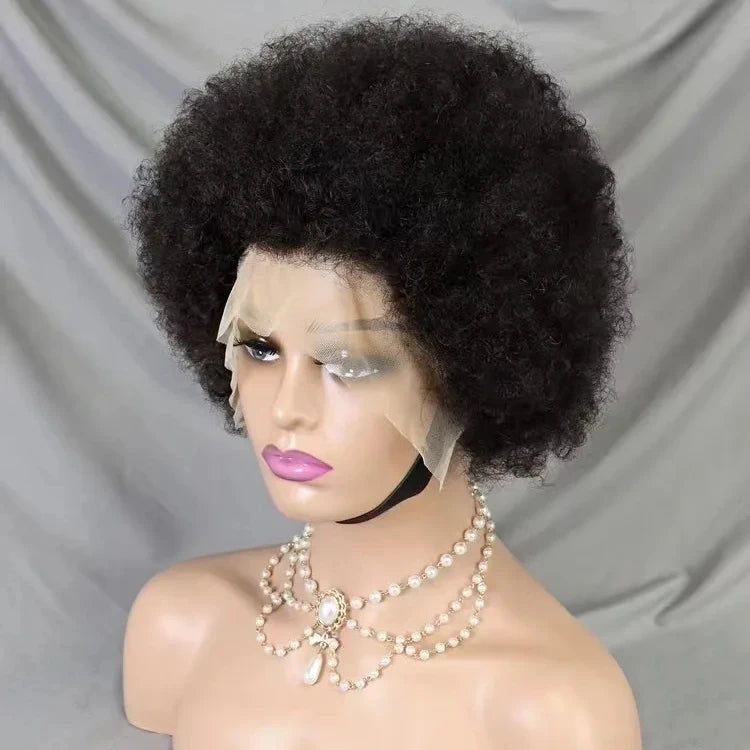 LINDALHAIR Short Afro Kinky Curly Wigs for Black Women Large Bouncy and Soft Natural Looking Premium Human Hair Wigs