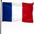 Bolisi 3*5ft Polyester French Flag 90*150cm Waterproof Pennant Cheap Sublimation Digital Printing Flag of France