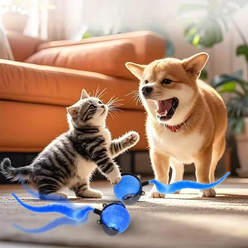 New Smart Automatic Rolling Ball Cat Dog Training Toy Rechargeable Electric Pet Interactive Toy Imitating Mouse Tail Movement MegaBDM