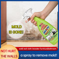 Eco-Friendly Walls Mold Mildew Remover Cleaning Agent Mold Remover /Mildew Cleaner for Household