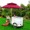 Front Freezer China Electrical Three Wheel Ice Cream Bicycle Tricycle for Sale