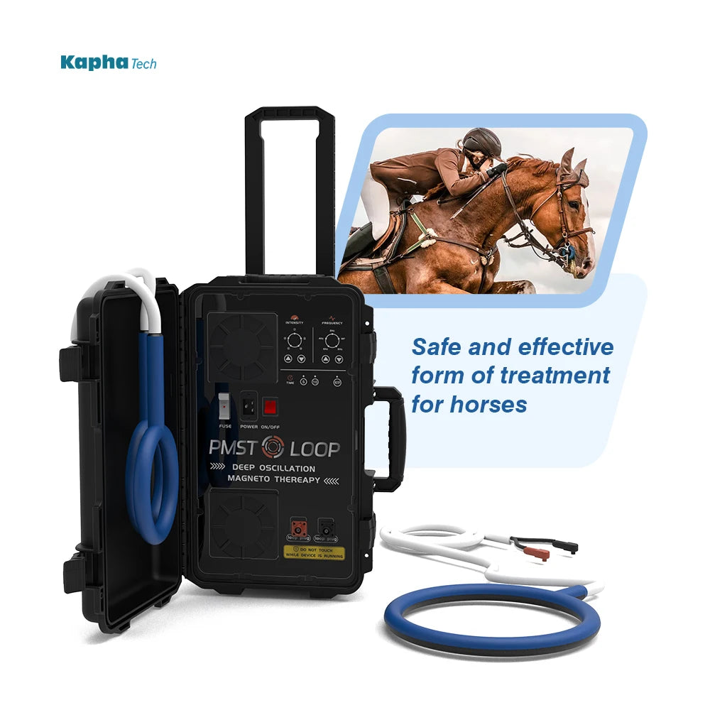Physiotherapy Machine for Horses PMST LOOP Horses Physio Magneto Therapy  PEMF Machine Quick Recovery