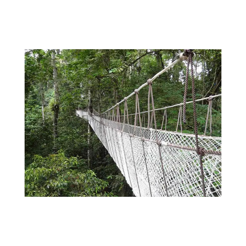 Original Factory Made Outdoor Rope Net Suspension Bridge for Sale High Load Capacity 300-500kg/m for Parks & Valleys