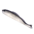 6.8CM/10CM Soft Lure Fishing Sinking Shad Paddle Tail Saltwater Bait Caster Freshwater Lures