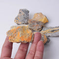 Hongzhuo Natural Bumblebees Crystal Quartz Rock Mineral Specimen Rough Hornet Stone Bulk Decorative Box Set Collection