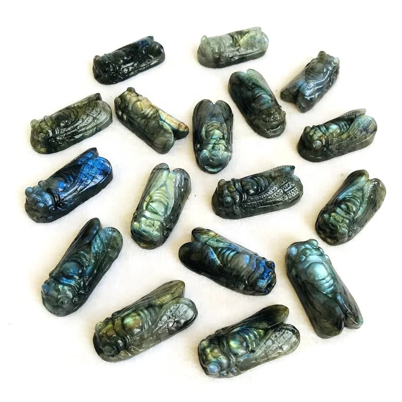 Factory price sales labradorite stone cicada carving animal carving crystal gifts for pendant decoration