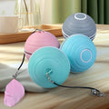 2025 New Fashion 2-in-1 Automatic Bouncing Silicone ABS Cat Ball Smart Rolling Dog Toy Lovely Pet Interactive Boredom Buster