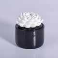 Ceramic Flower with Essential Oil Fragrance Essential Oil Diffuser Diffuser with Ceramic Flower Reed Diffuser